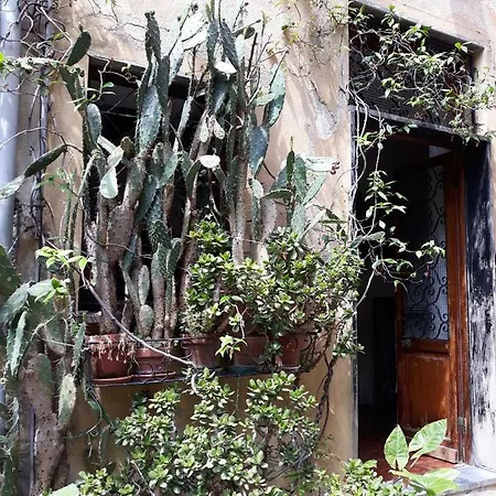 Ca Du Paraxo