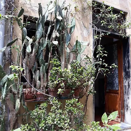 Ca Du Paraxo